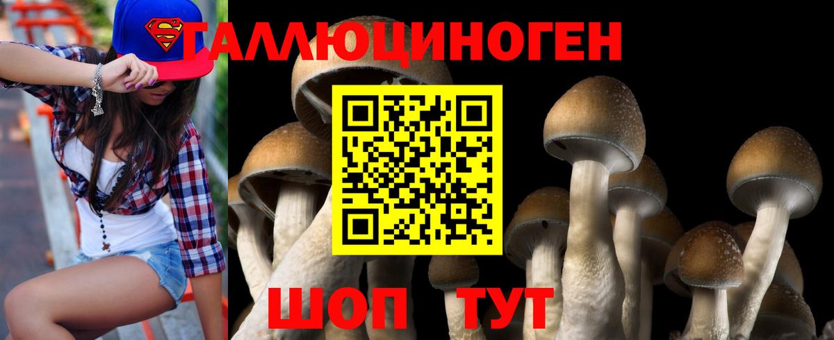 Вольск  Псилоцибиновые грибы MAGIC MUSHROOMS  Вход с VPN  Псилоцибиновые грибы ЛСД 